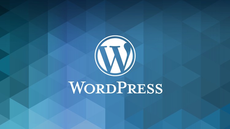 Plugin wordpress là gì? Hướng dẫn cho người mới bắt đầu 520116 edf5 2 2