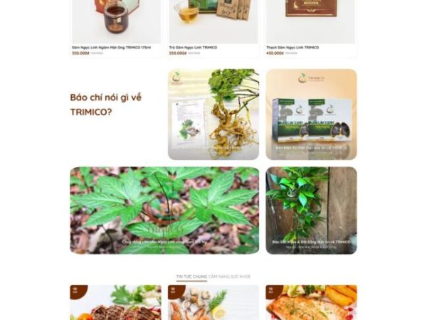 Website bán sâm ngọc linh chuẩn đẹp